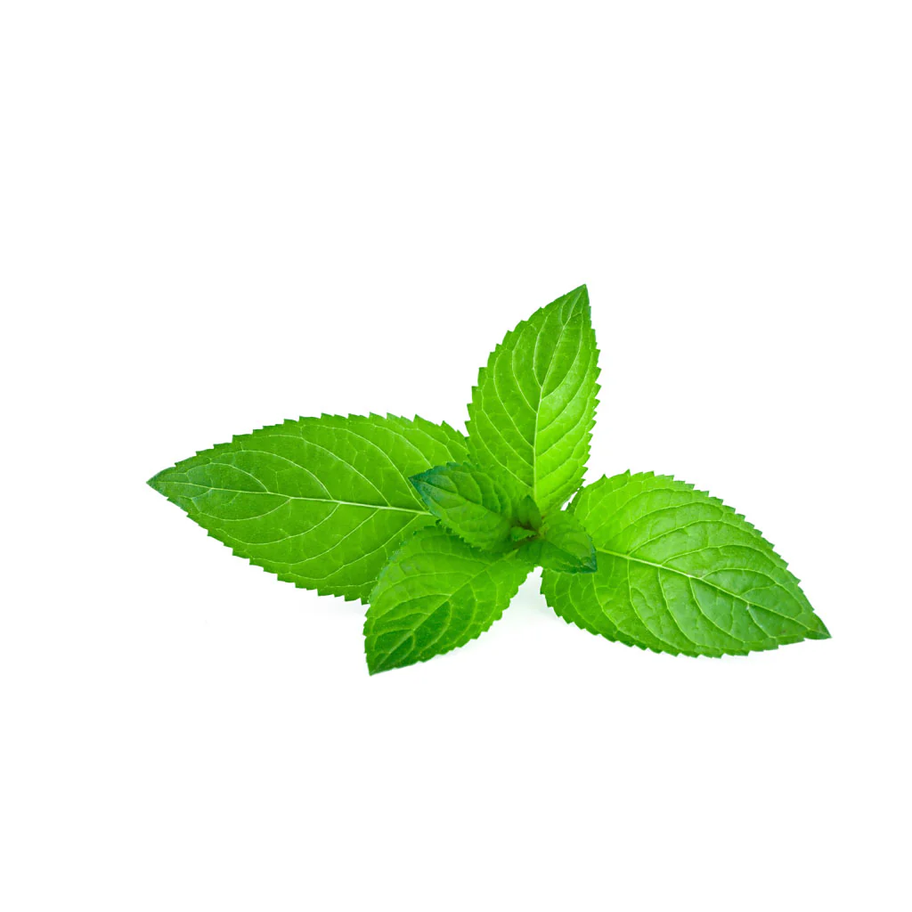 Capella Cool Mint Flavour Concentrate