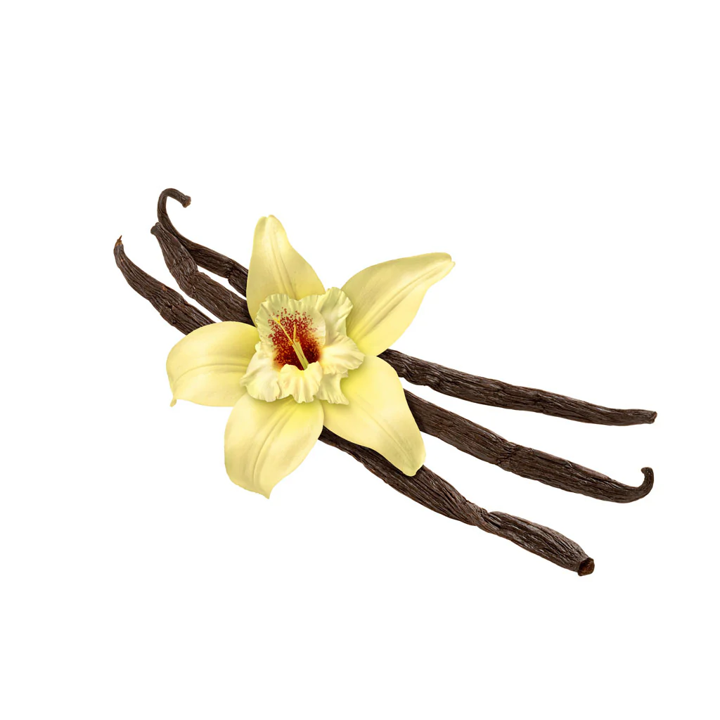 Capella French Vanilla V1 Flavour Concentrate