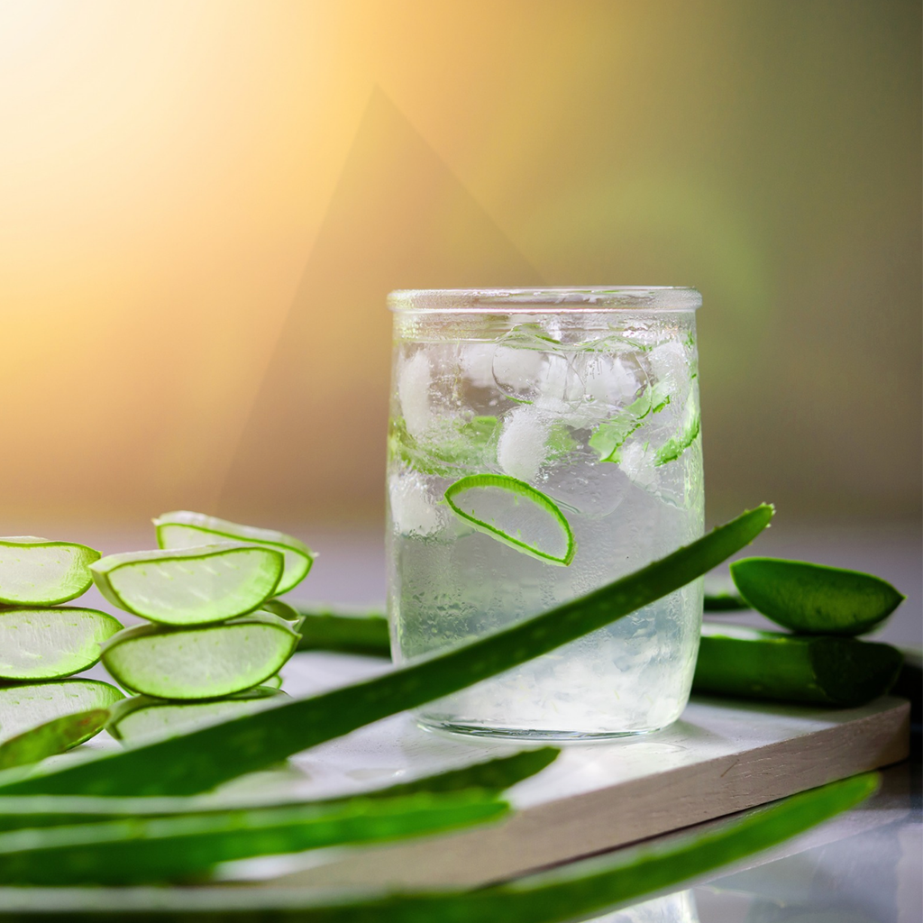 Trade Singles Aloe Vera Flavour