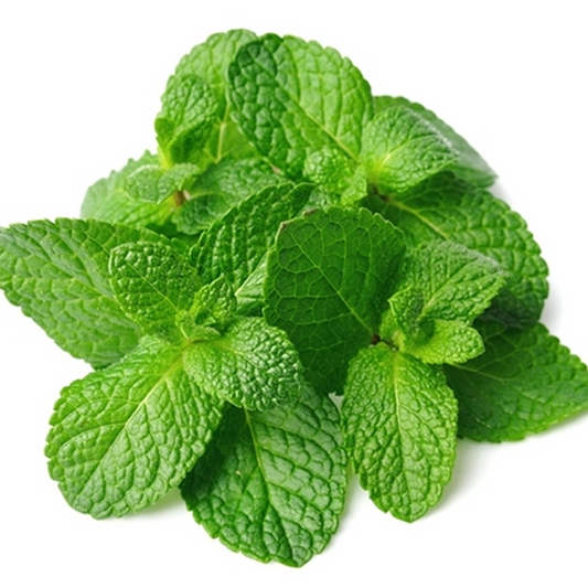 TFA Spearmint Flavour Concentrate