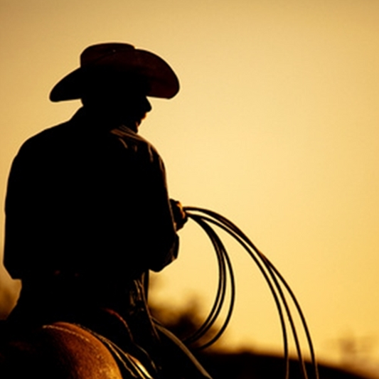 TFA Western Flavour Concentrate