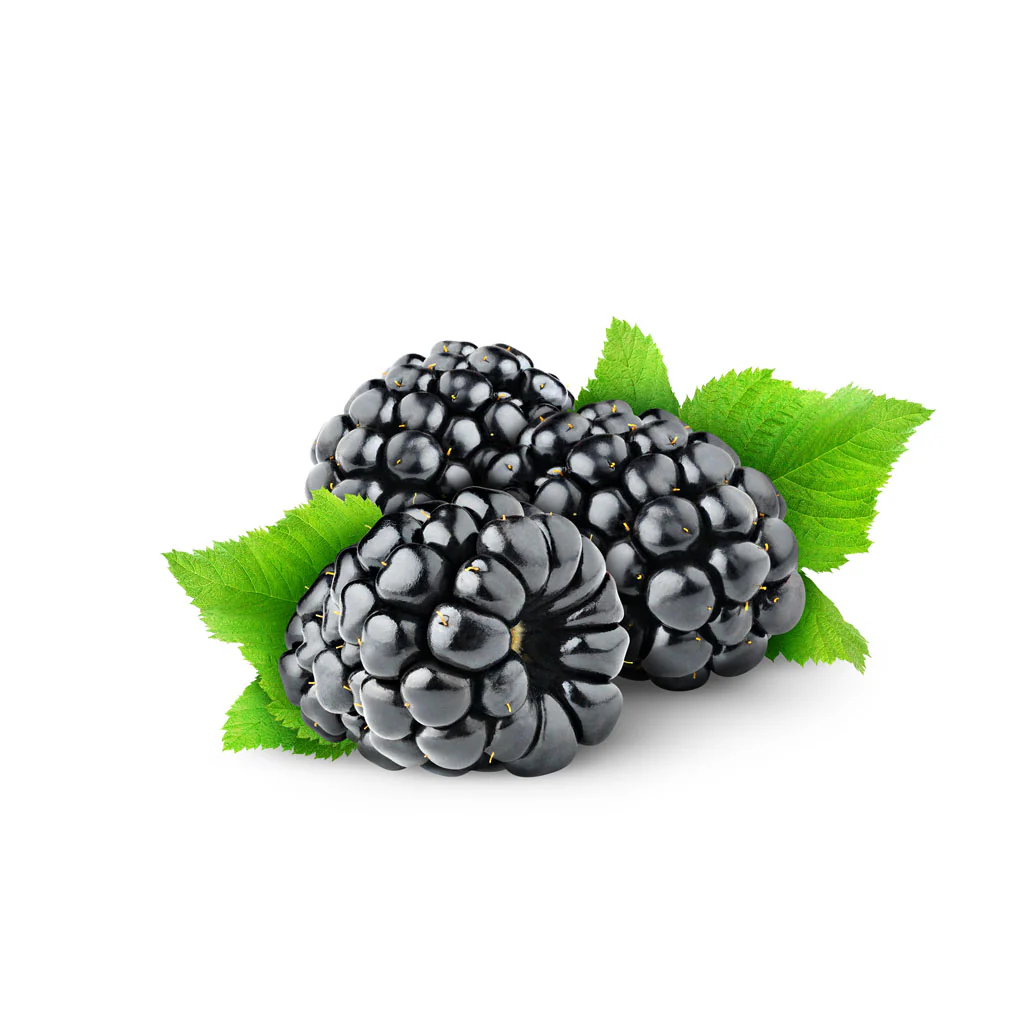 Capella Blackberry Flavour Concentrate