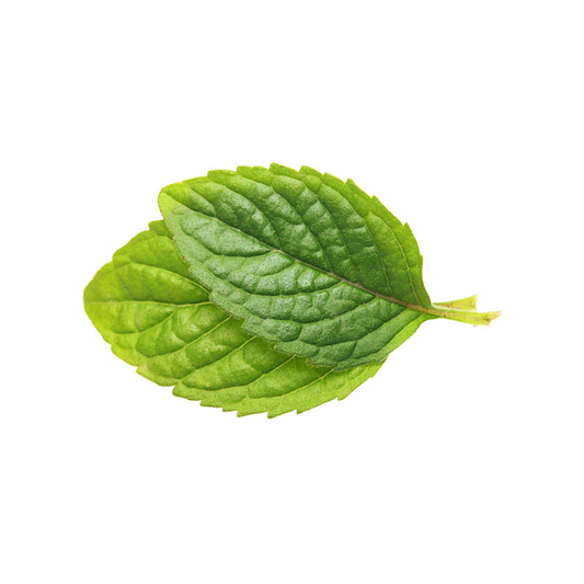 Capella Spearmint Flavour Concentrate