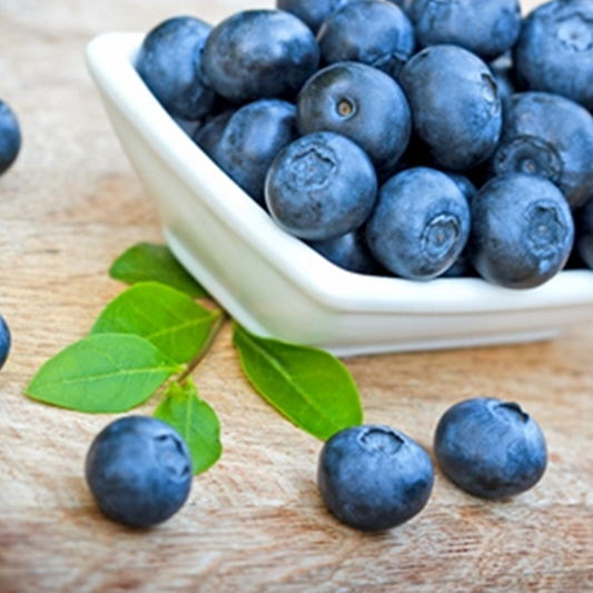 TFA Blueberry (Wild) Flavour Concentrate